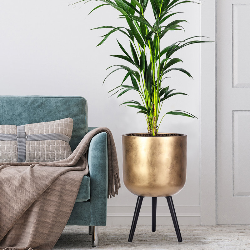 Idealist Concrete Effect Round Planter With Legs, Round Indoor Plant